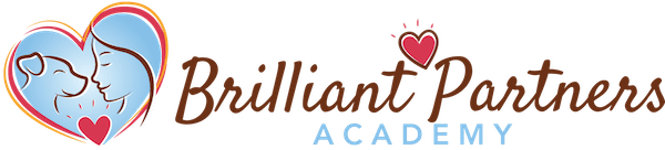 Brilliant Partners Academy new DH logo 600px