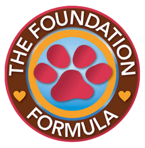 CDT TheFoundFormula Logo 72