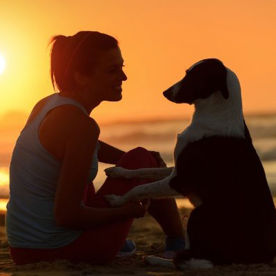 Woman and border collie sunset sm