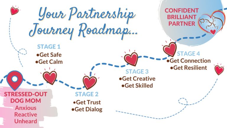 Your Partnership Roadmap