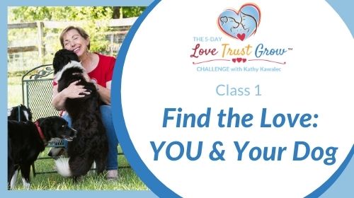 Class 1 - Find the Love