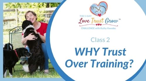Class 2 - Why trust over training?