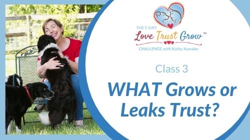 Class 3 - What grows or leaks trust?