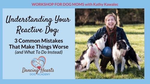 Understanding Your Reactive Dog workshop
