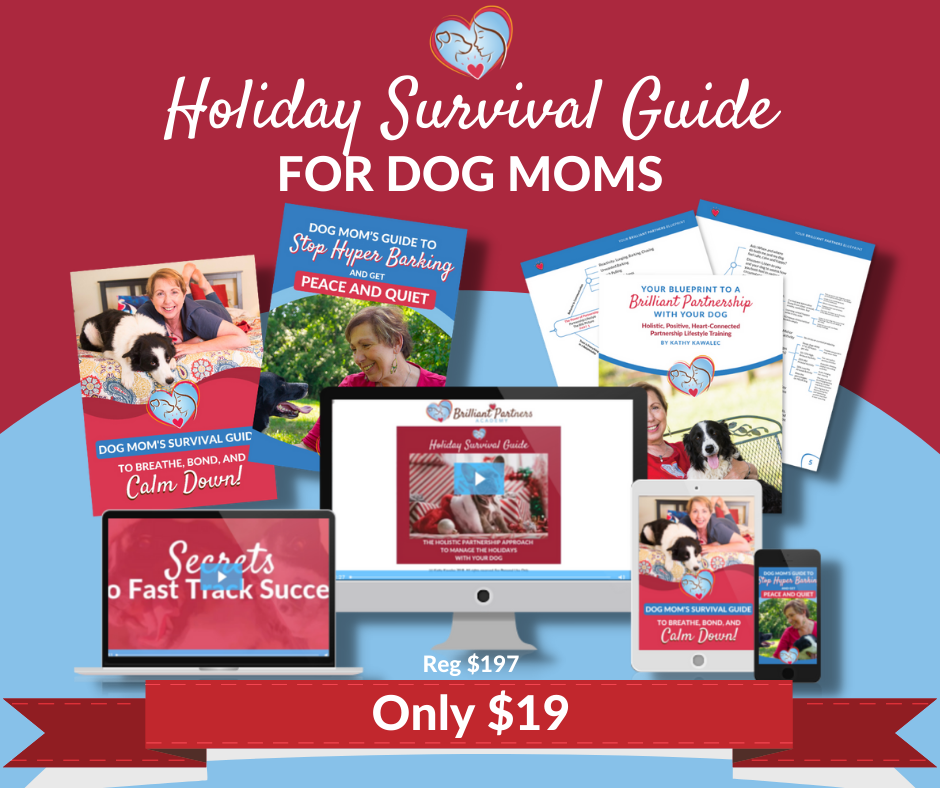 Holiday Survival Guide array 19 fb post