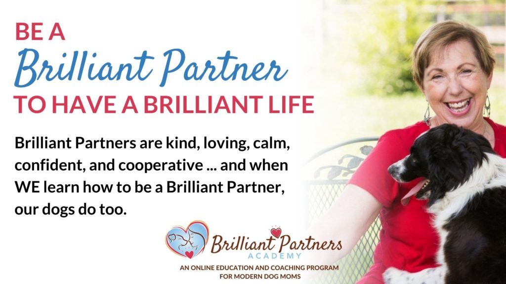 Brilliant Partners Academy online education and coaching program for modern dog moms