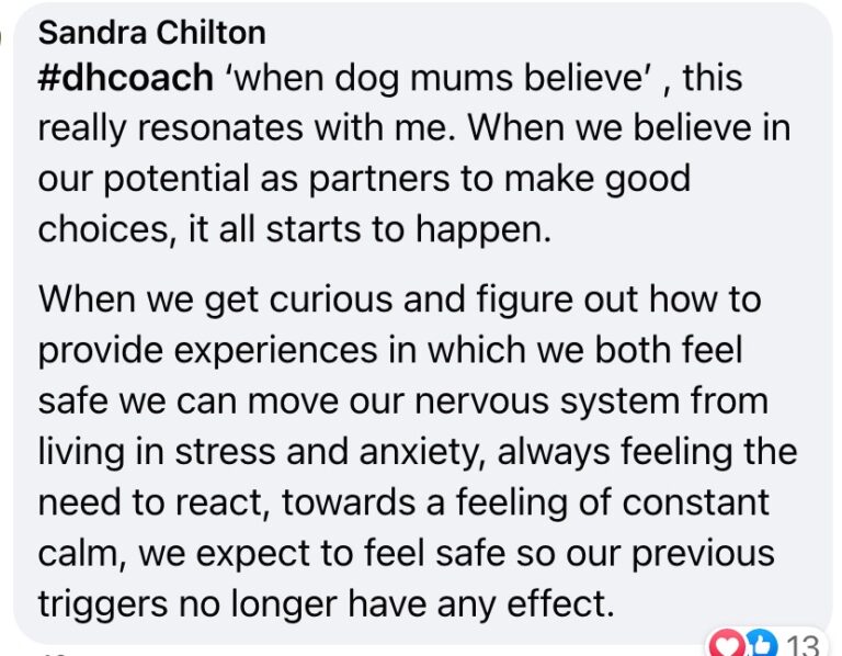 Sandra comment when dog mums believe