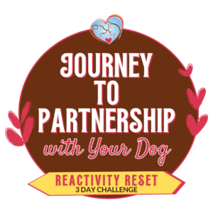 Journey to partnership logo