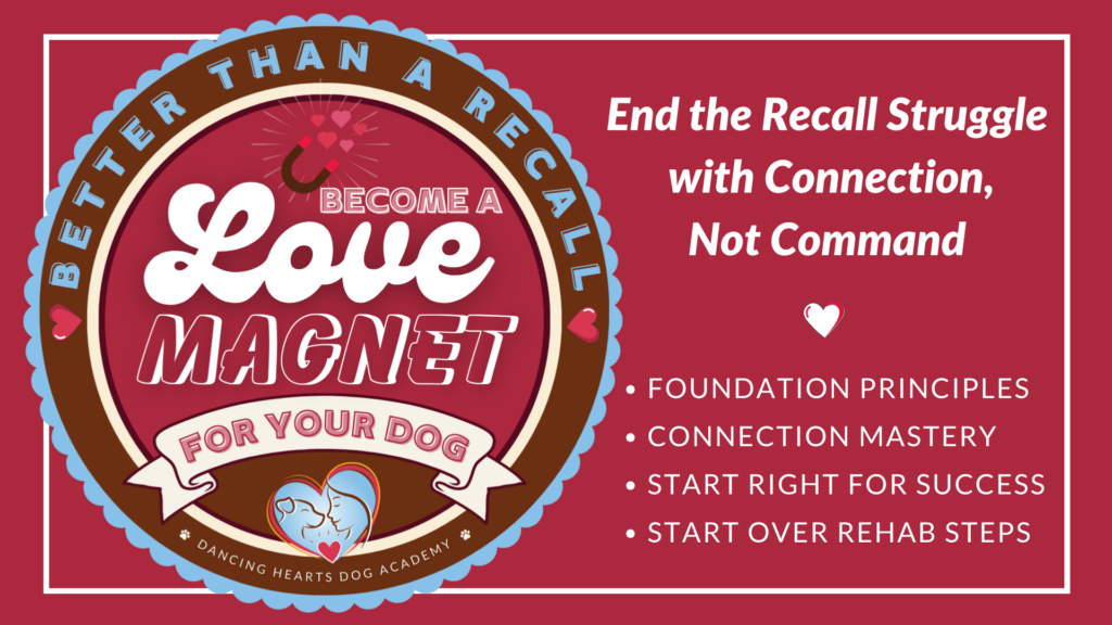 Become a Love Magnet Workshop Banner