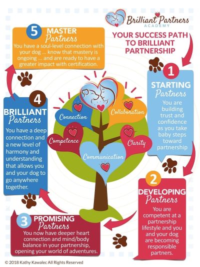 BPA Success Path infographic v27s 1100px