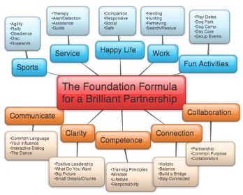 Foundation-Formula-map_2a3vi0mc