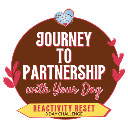 Journey to partnership logo
