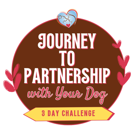 Journey to partnership with your dog 3 day challenge